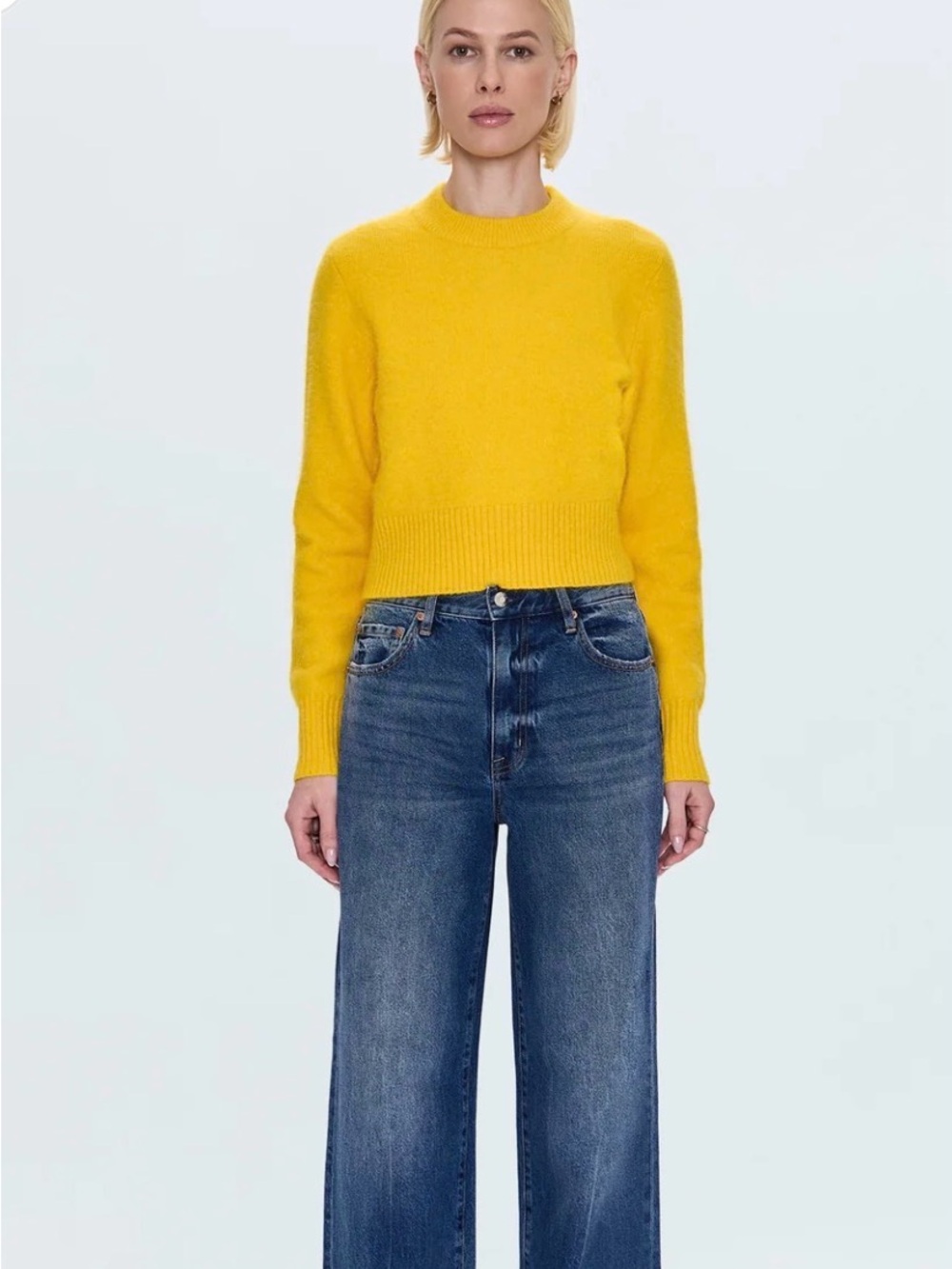 NWT Pistola Hendrix High Rise Baggie Jean size 25